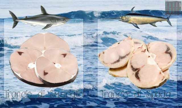 Poco fresco, allevato o diverso: tutti i segreti e le "fregature" del pesce acquistato